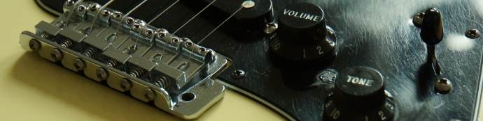 Macro Shot 2 - Fender Stratocaster 